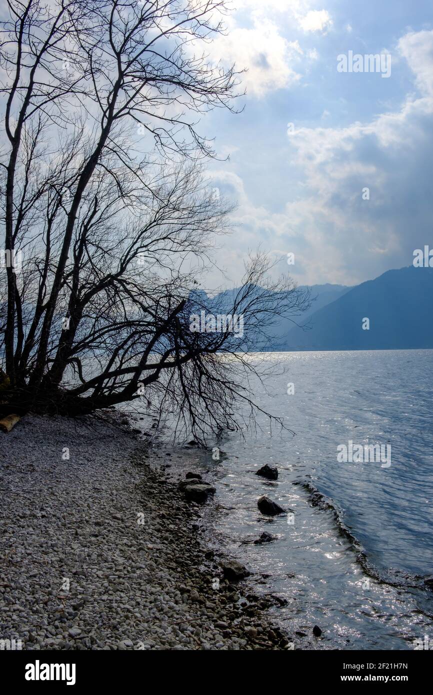 Ostküste des traunsees bei gmunden im oberen Teil österreichische Region salzkammergut Stockfoto