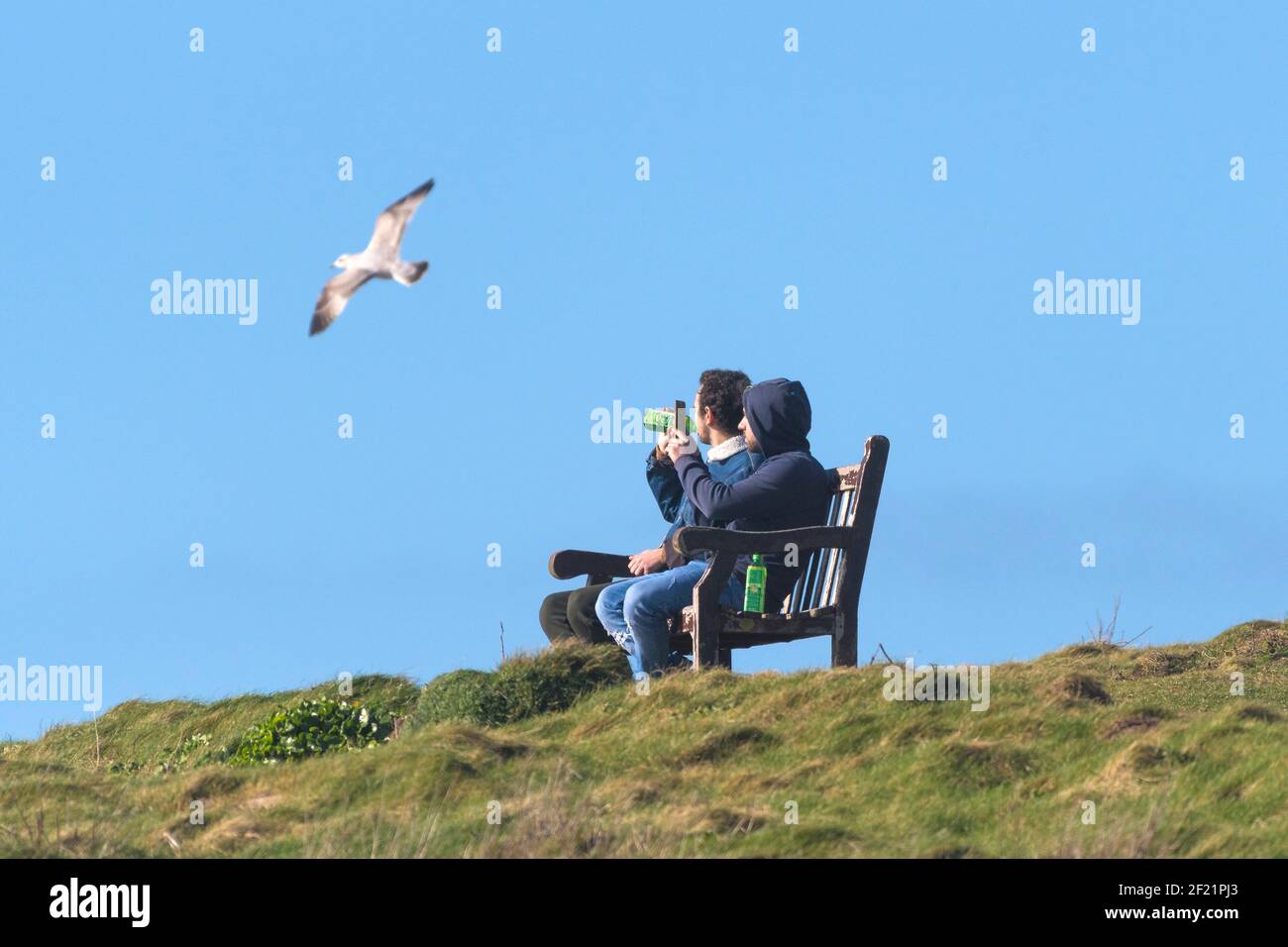 Zwei Männer sitzen auf einer Bank, als eine Möwe über dem Kopf fliegt. Stockfoto