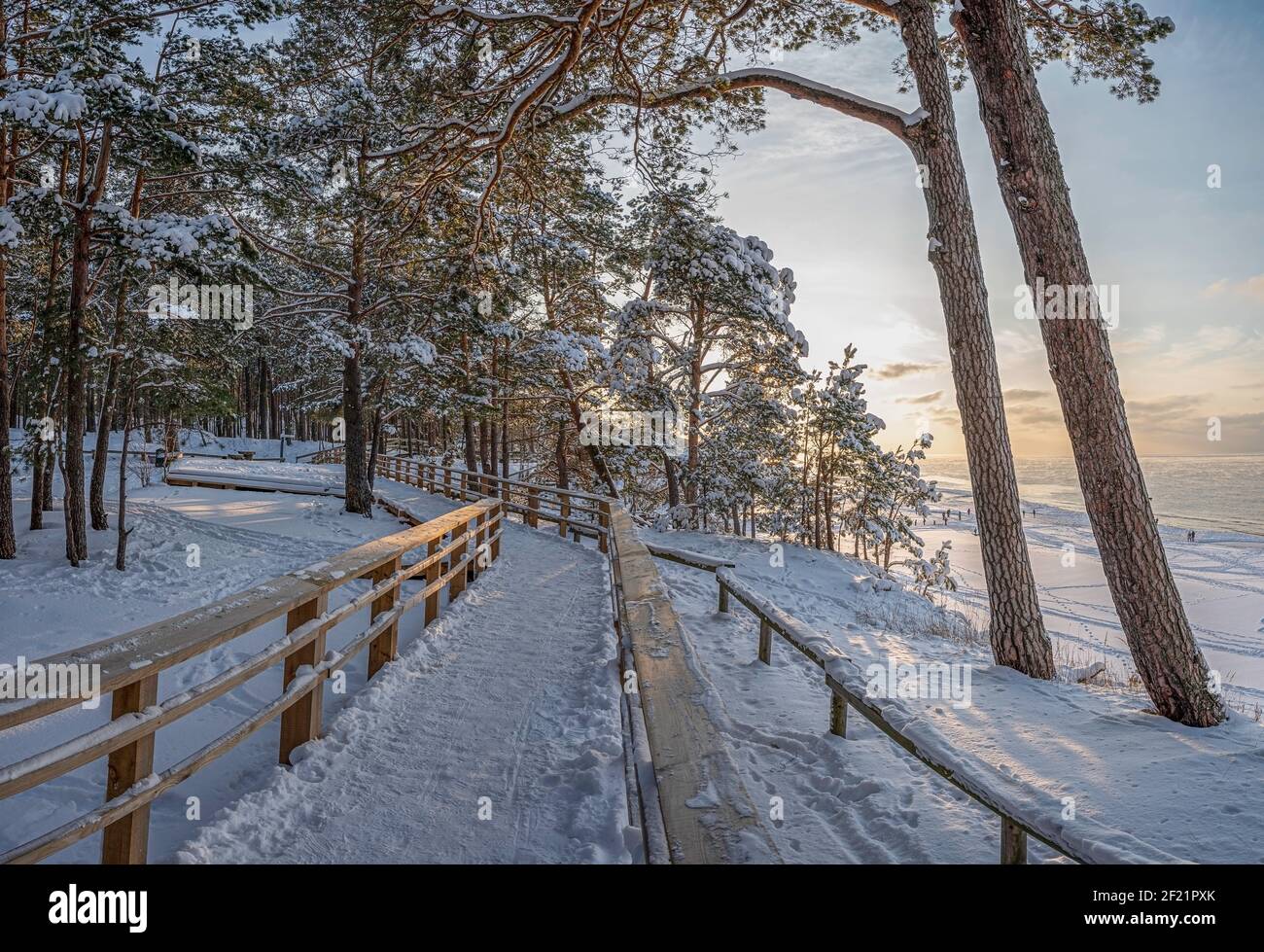 Blick auf verschneiten Kiefernwald und Holzweg für einen entspannenden Spaziergang. Bedeckt mit Pinien, Tannen und Fichten. Stockfoto
