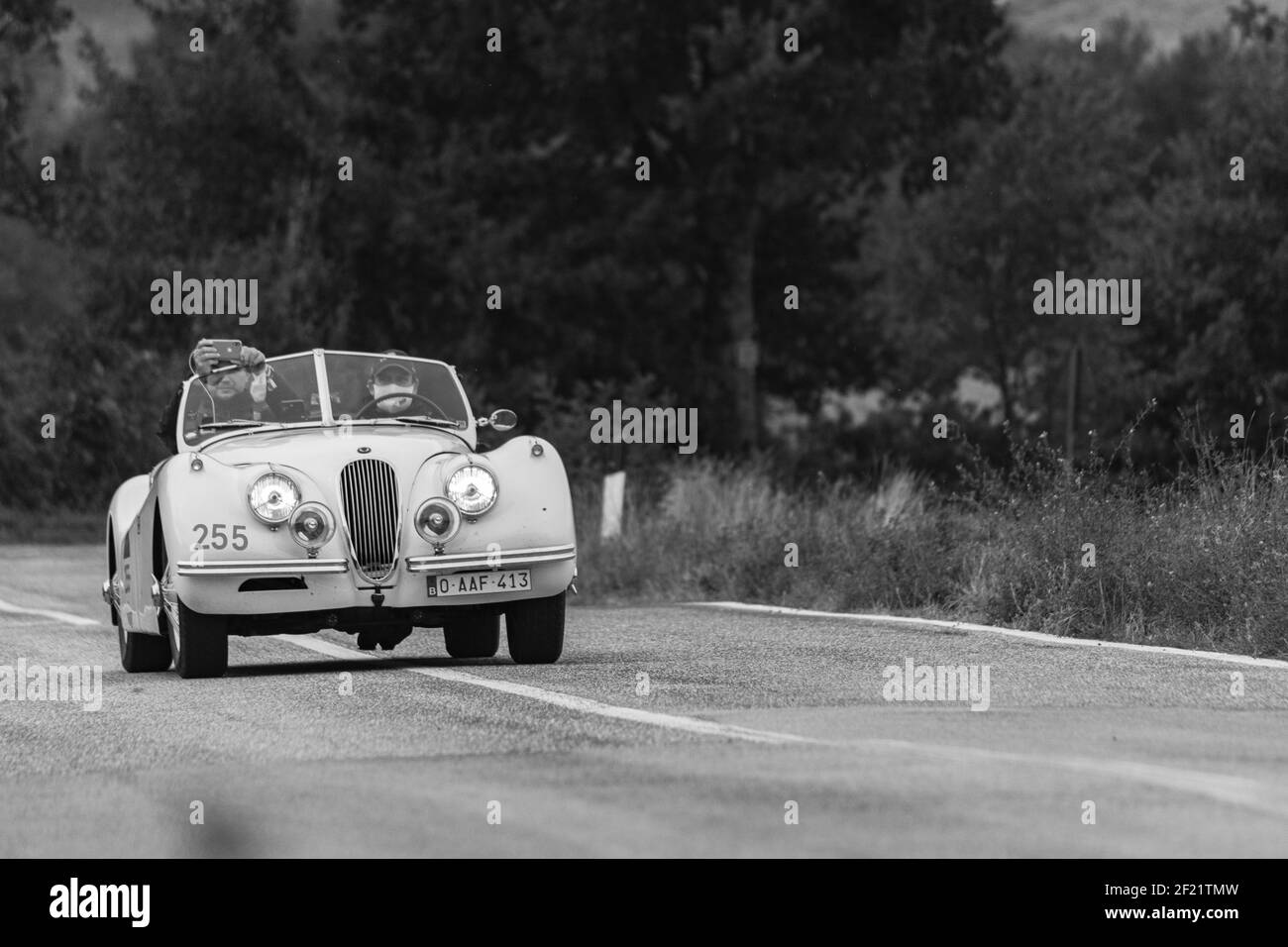 CAGL, ITALIEN - Mär 06, 2021: CAGLI , ITALIEN - OTT 24 - 2020 : JAGUAR XK 120 SE OTS 1954 auf einem alten Rennwagen in Rallye Mille Miglia 2020 die berühmte itali Stockfoto