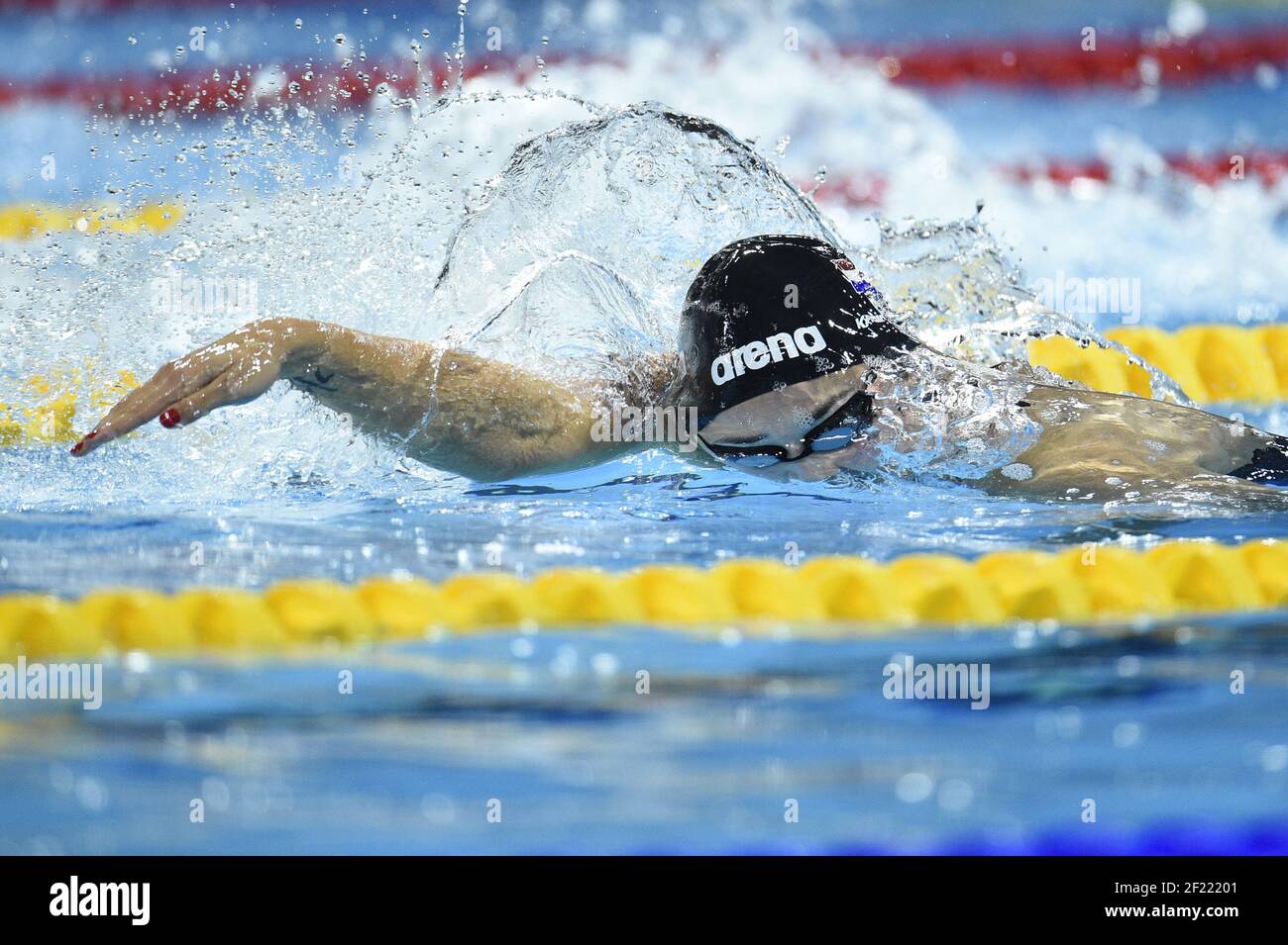 Ranomi Kromowidjo (NED) tritt im 100 m Freistil Halbfinale der Frauen während des 13th Fina World Swimming Championships Short Course, in Windsor, Kanada, Tag 2, am 7. Dezember, 2016 - Foto Stephane Kempinaire / KMSP / DPPI Stockfoto