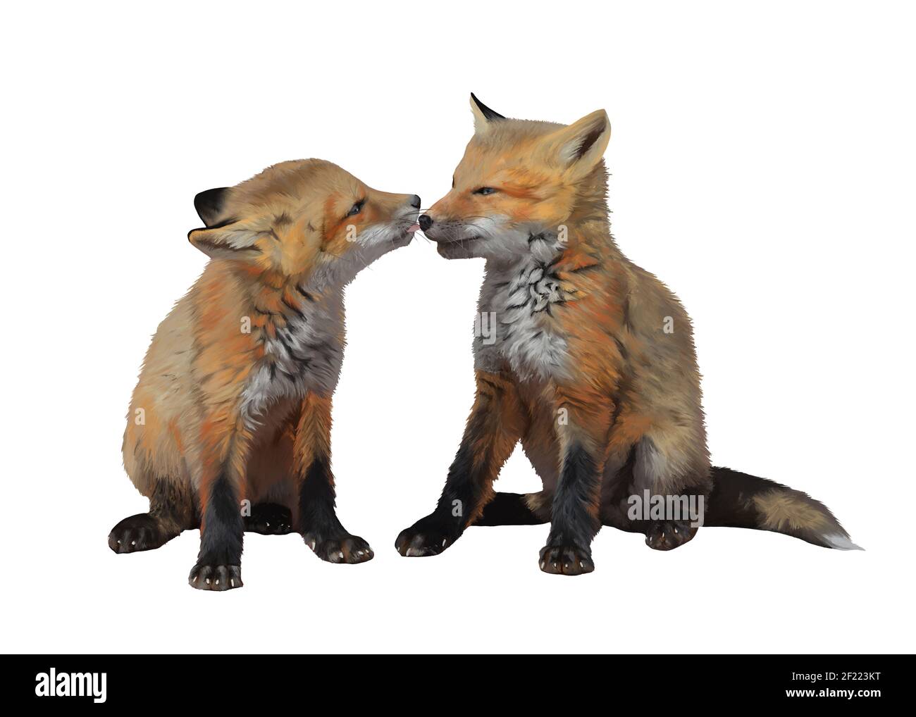 Illustration Fox Stockfotos Und Bilder Kaufen Seite 7 Alamy