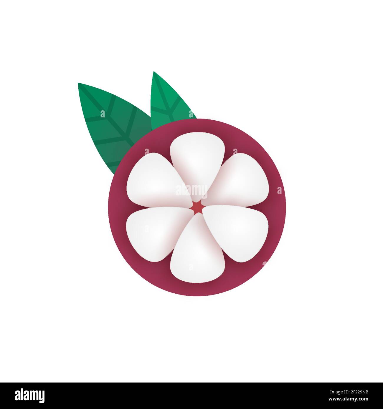 Mangostan. Eine Hälfte Früchte in Papierschnitt-Stil auf weißem Hintergrund. Süße tropische Früchte. Vektor Stock Vektor