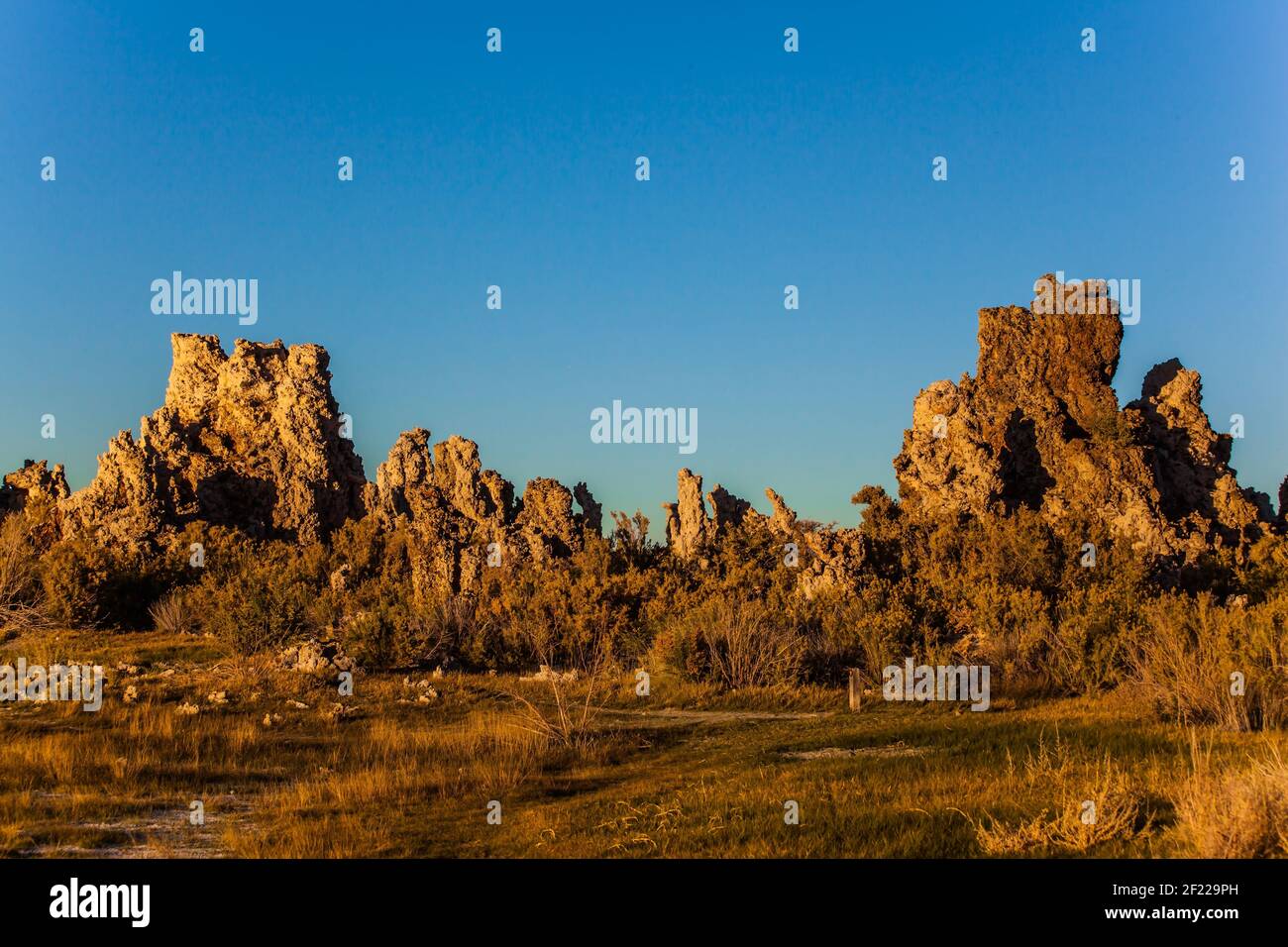Am Ufer des Mono Lake Stockfoto
