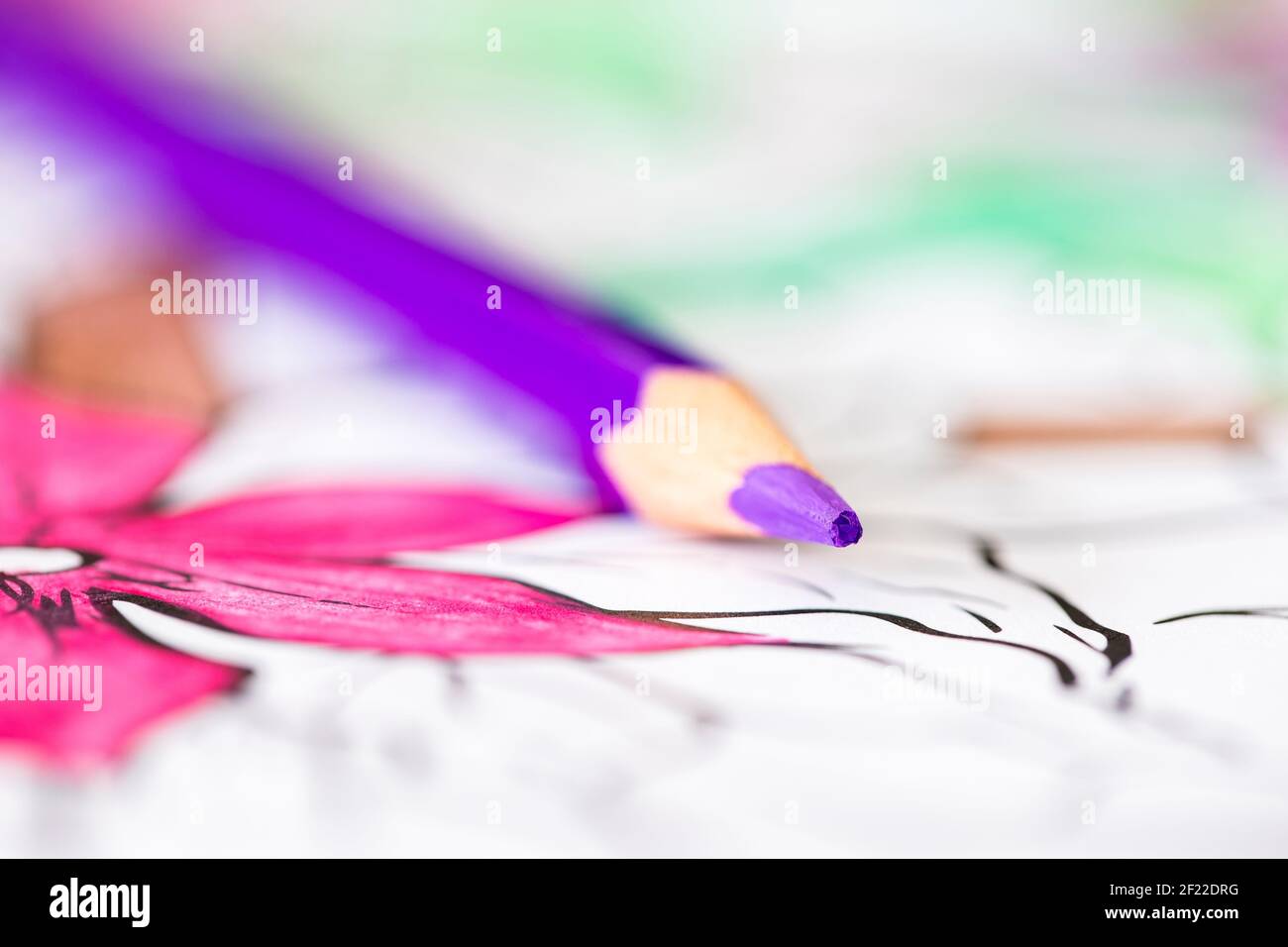 Ein Nahaufnahme Makro-Porträt eines lila Bleistift auf einem Malbuch für Erwachsene liegen. Die Seite ist bereits etwas eingefärbt, aber einige Teile sind noch weiß Stockfoto