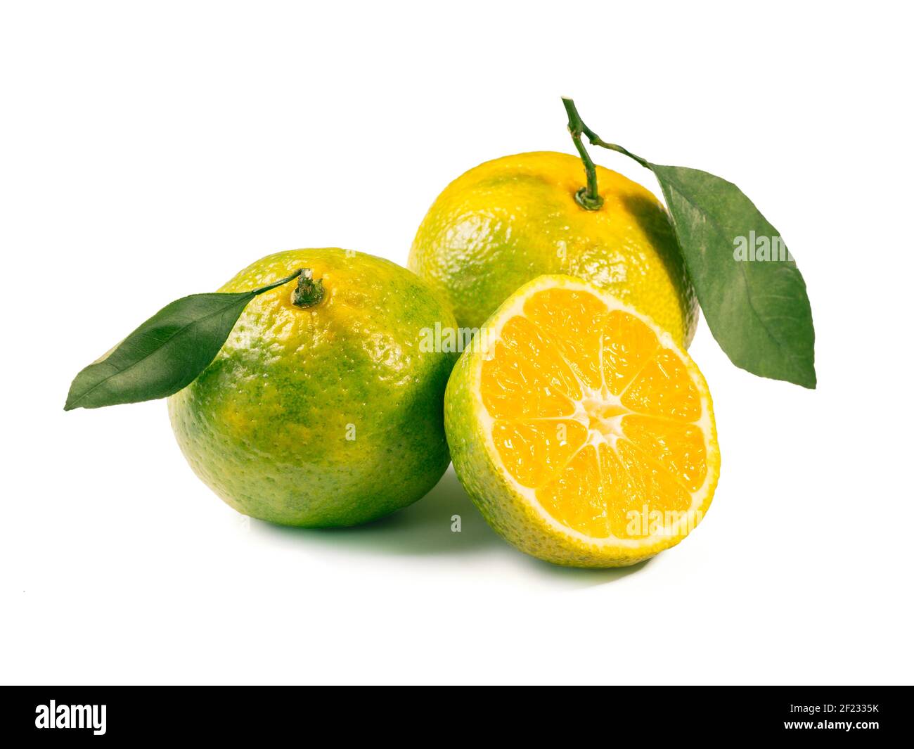 Grüne Mandarinen isoliert auf weißem Hintergrund Stockfoto