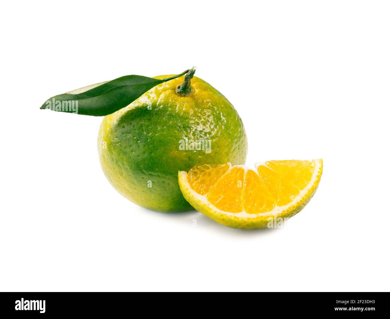 Grüne Mandarinen isoliert auf weißem Hintergrund Stockfoto