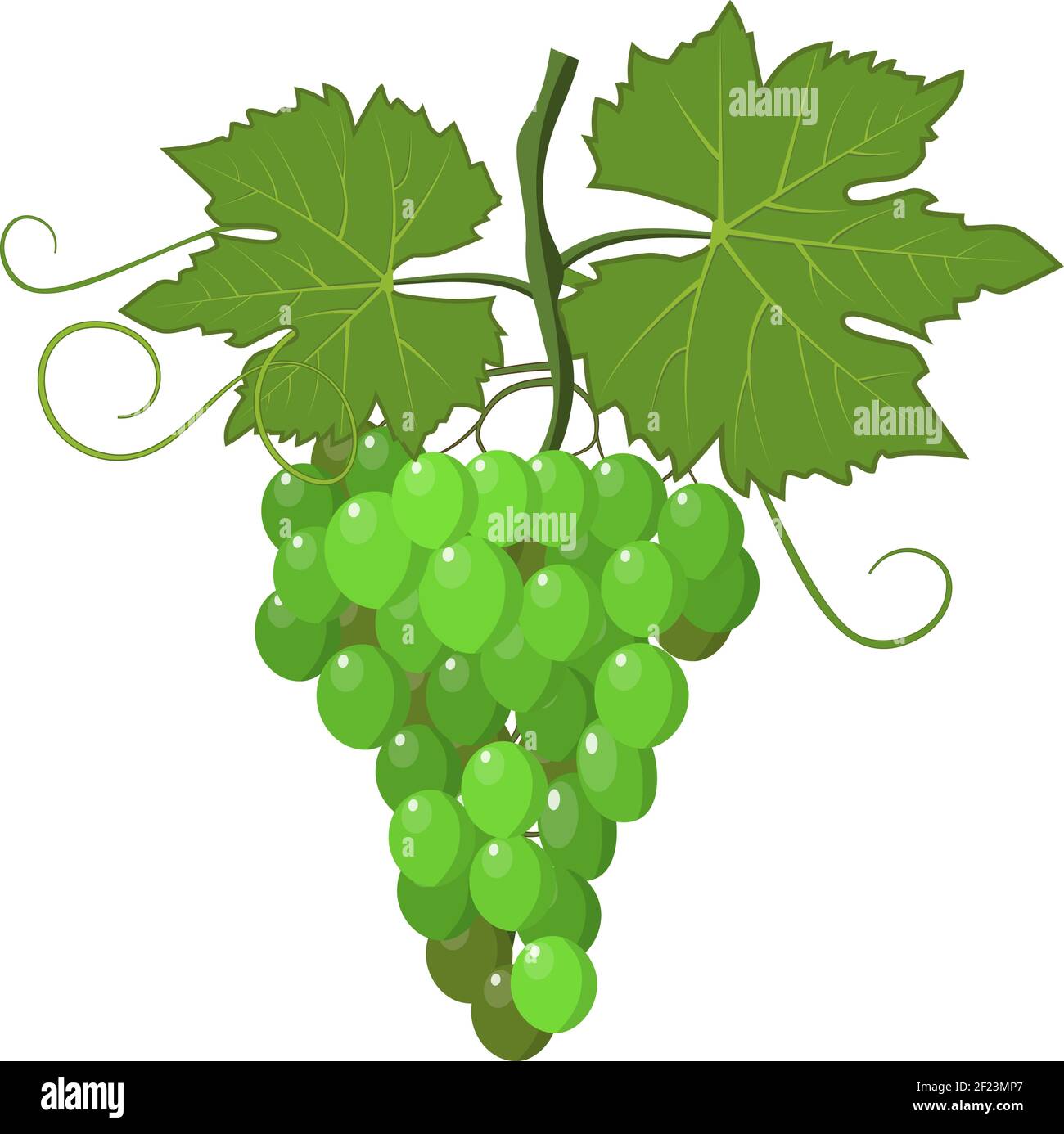 Frischen Haufen Trauben lila Stock Vektor