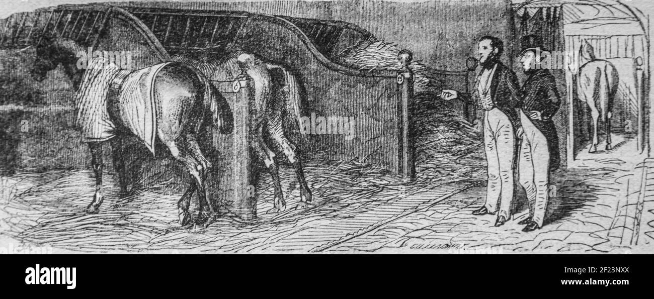 le Sportsman parisien, cavalier, les français peints par eux-memes,eitor n.j. philippart 1861 Stockfoto