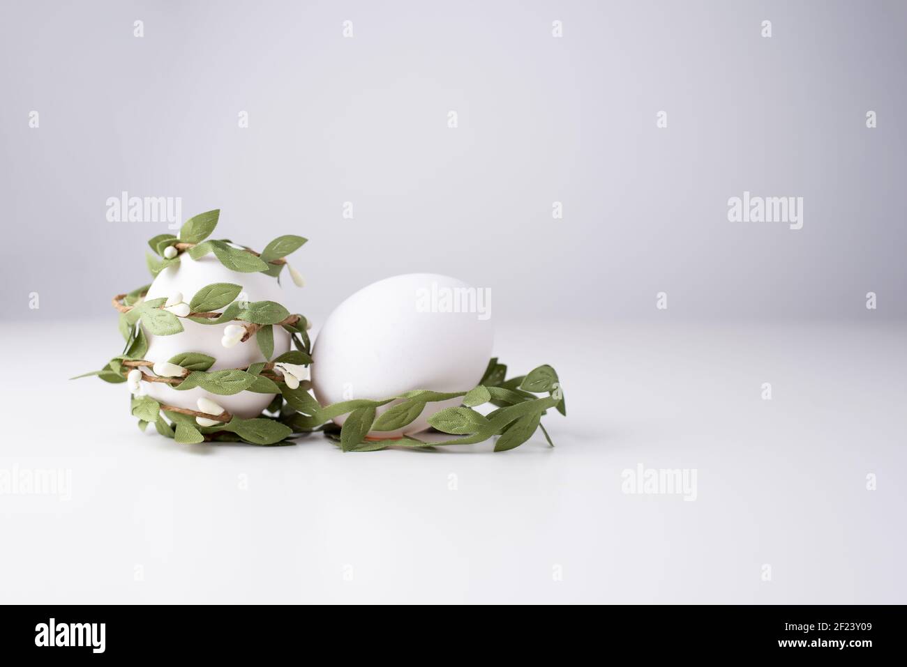 Zwei weiße Eier in einem schönen grünen Zweig auf weißem Hintergrund, Nahaufnahme. Osterhintergrund. Stockfoto