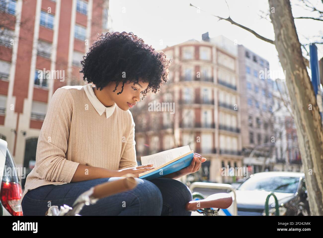 Afroamerikanische Frau, die ein Buch liest, das auf einer Bank sitzt. Latina Frau mit einem Buch. . Hochwertige Fotos Stockfoto