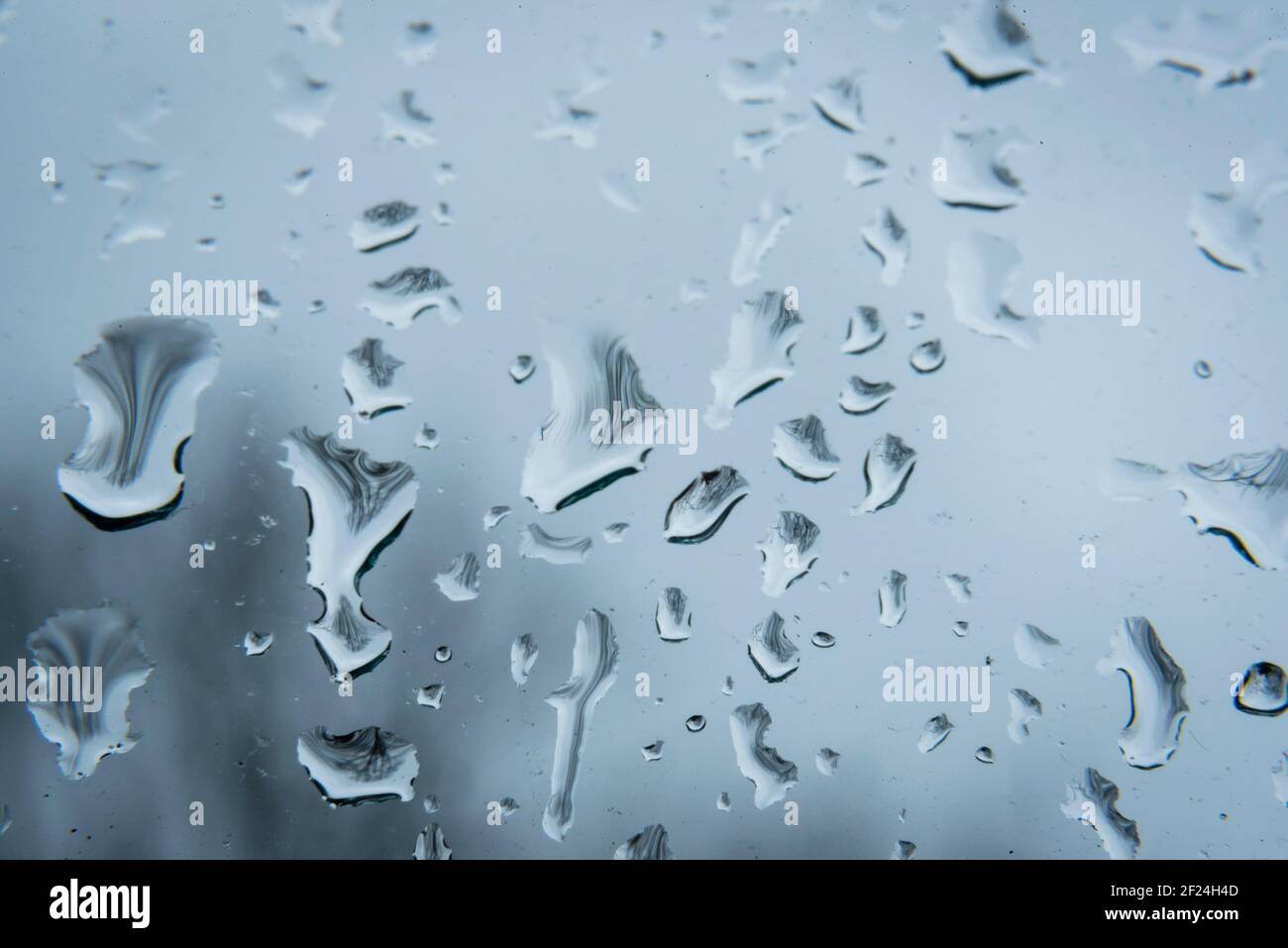 London, Großbritannien. 10. März 2021. UK Wetter: Regentropfen auf einem Fenster im Nordwesten Londons während einer Regendusche an einem nassen Tag. Die Prognose gilt für wechselhafte Bedingungen mit windigem und nassem Wetter für den Rest der Woche. Kredit: Stephen Chung / Alamy Live Nachrichten Stockfoto