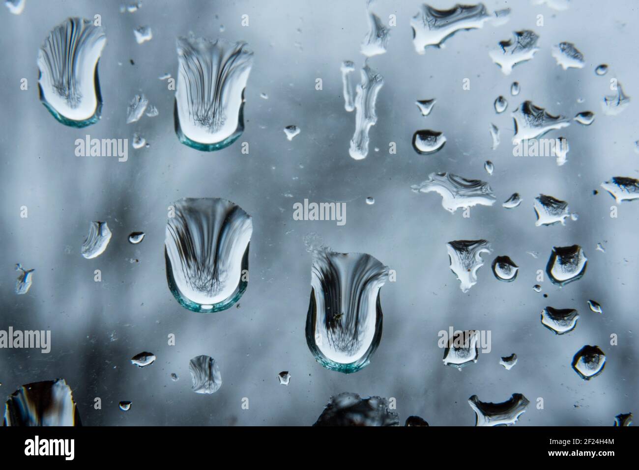 London, Großbritannien. 10. März 2021. UK Wetter: Regentropfen auf einem Fenster im Nordwesten Londons während einer Regendusche an einem nassen Tag. Die Prognose gilt für wechselhafte Bedingungen mit windigem und nassem Wetter für den Rest der Woche. Kredit: Stephen Chung / Alamy Live Nachrichten Stockfoto