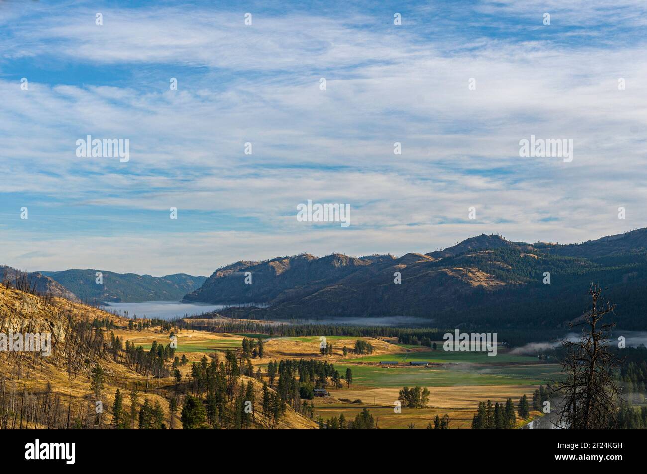 Cremige Landschaft im Okanagan Valley Stockfoto