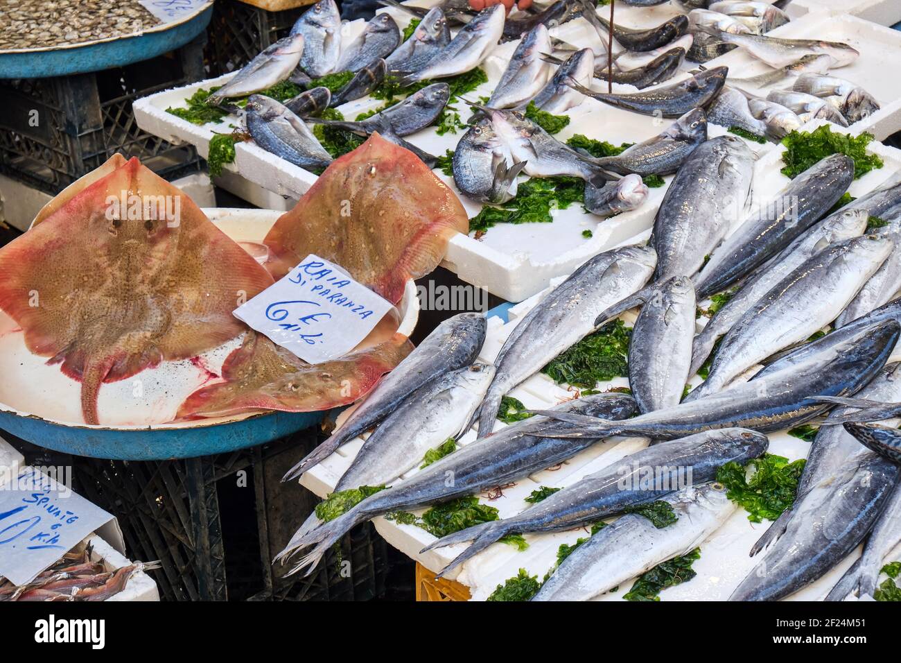 Verschiedene Arten von Fischen zum Verkauf auf dem Markt Stockfoto