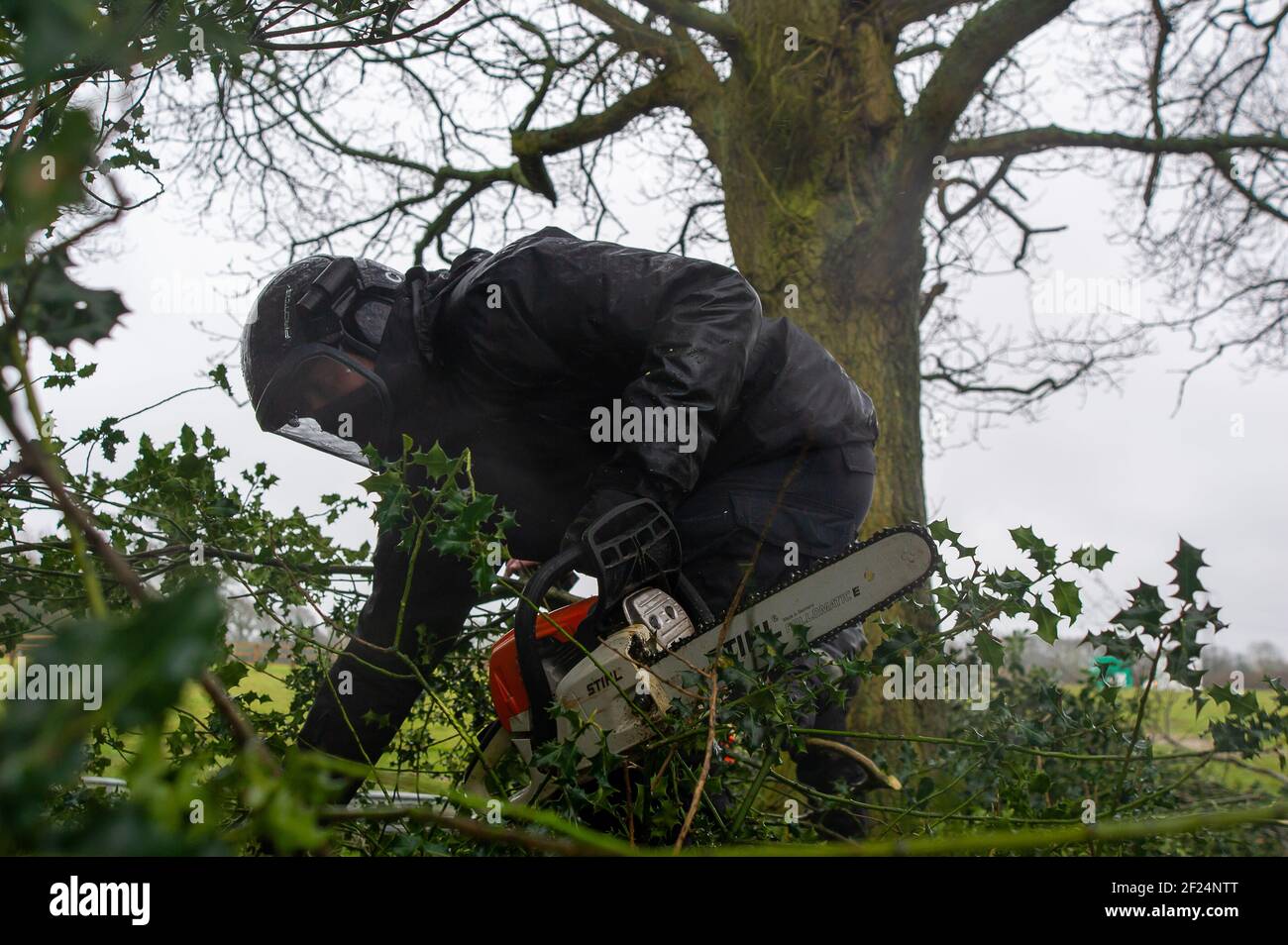 Great Missenden, Buckinghamshire, Großbritannien. März 2021, 10th. Am frühen Morgen haben HS2 Ltd und das National Eviction Team Stop HS2 Aktivisten aus dem Protestcamp Save Leather Lane vertrieben. HS2 schnitten Gliedmaßen von den Eichen ab, von denen einige eindeutig potenzielle Fledermausquartiere in sich hatten, sowie Hecken zerstörten, um einen hohen Sicherheitszaun zu errichten. Die Einheimischen sind wütend, dass HS2 jetzt 14 oder mehr dieser viel geliebten schönen Eichen fallen wird. Die umstrittene High Speed 2 Bahnverbindung von London nach Birmingham ist eine riesige Narbe über die Chilterns, die eine AONB ist. Quelle: Maureen McLean/Alamy Live Stockfoto