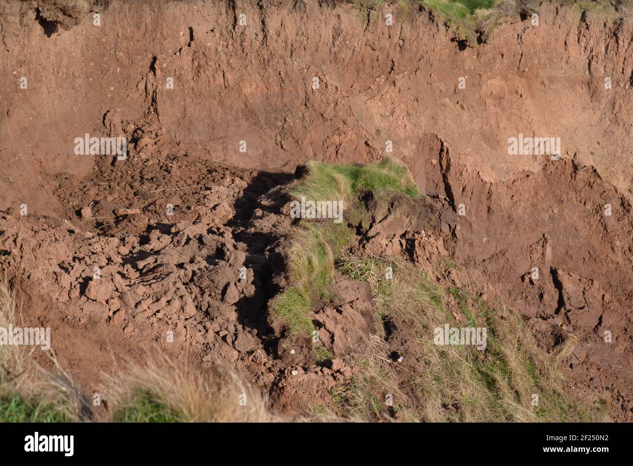 Filey Bay Cliff Edge – Grass And Mud Landslip – Nordost-Küstenerosion - Küstengefahren - Sonnig Tag - North Yorkshire Großbritannien Stockfoto