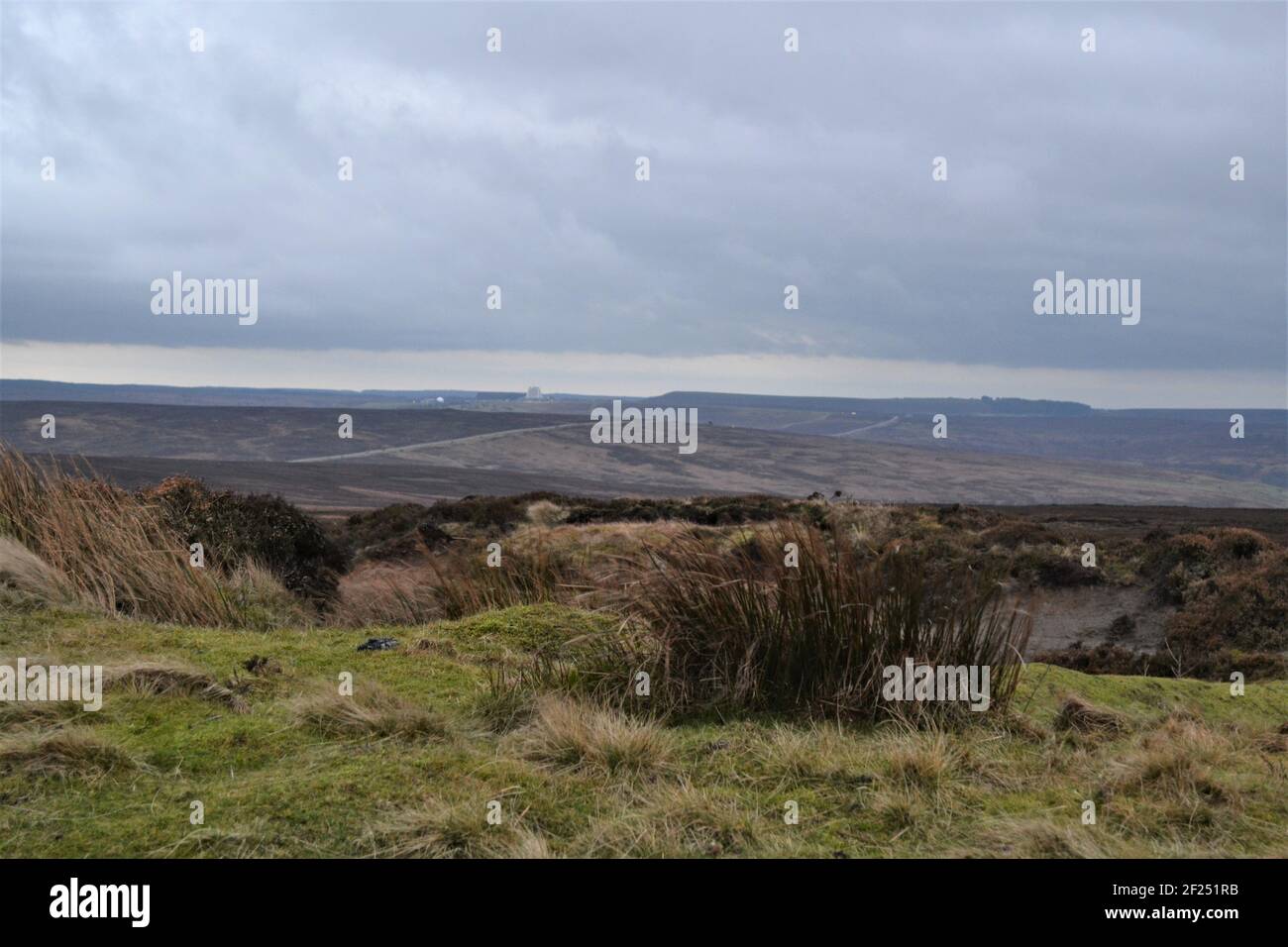 North Yorkshire Moors Blick über Felder, Valley's und Hills - Klumpen von Gras - Land und Moorland - Yorkshire UK Stockfoto