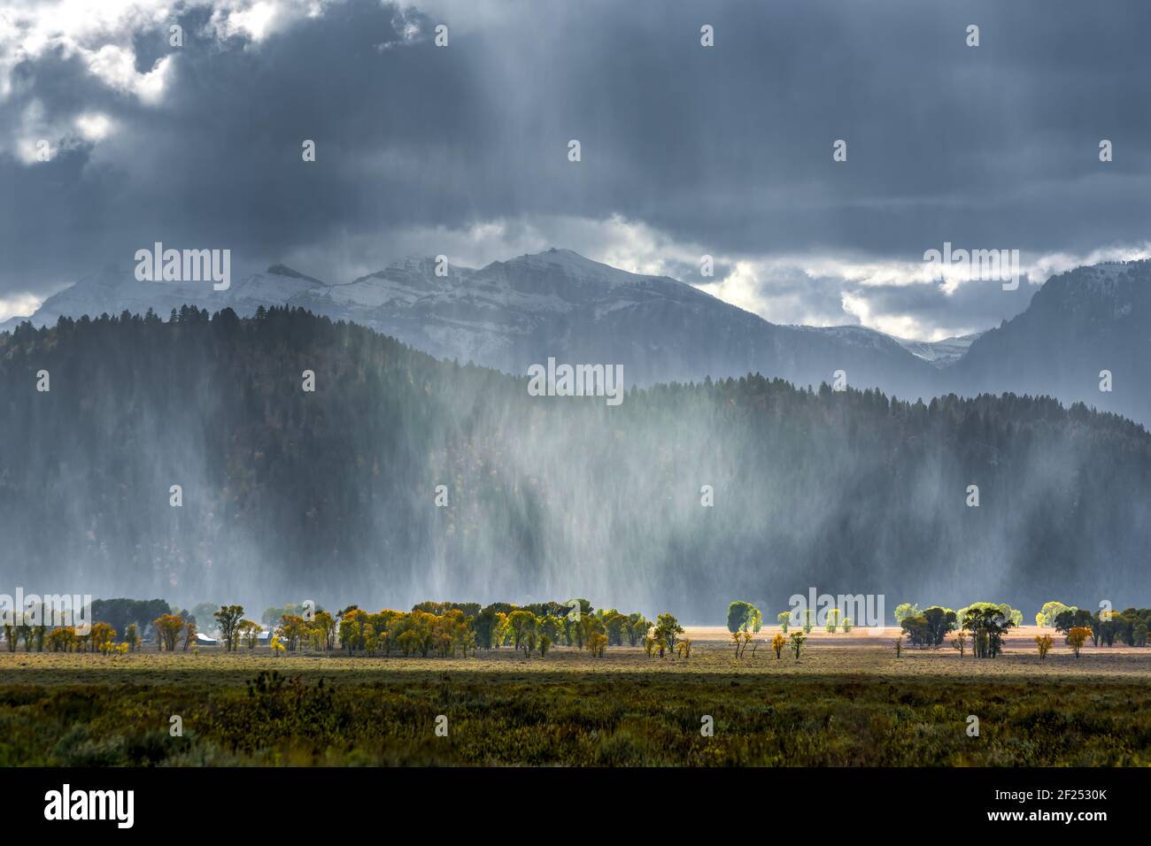 Snow Storm von der Grand Teton Bergkette Fegen Stockfoto