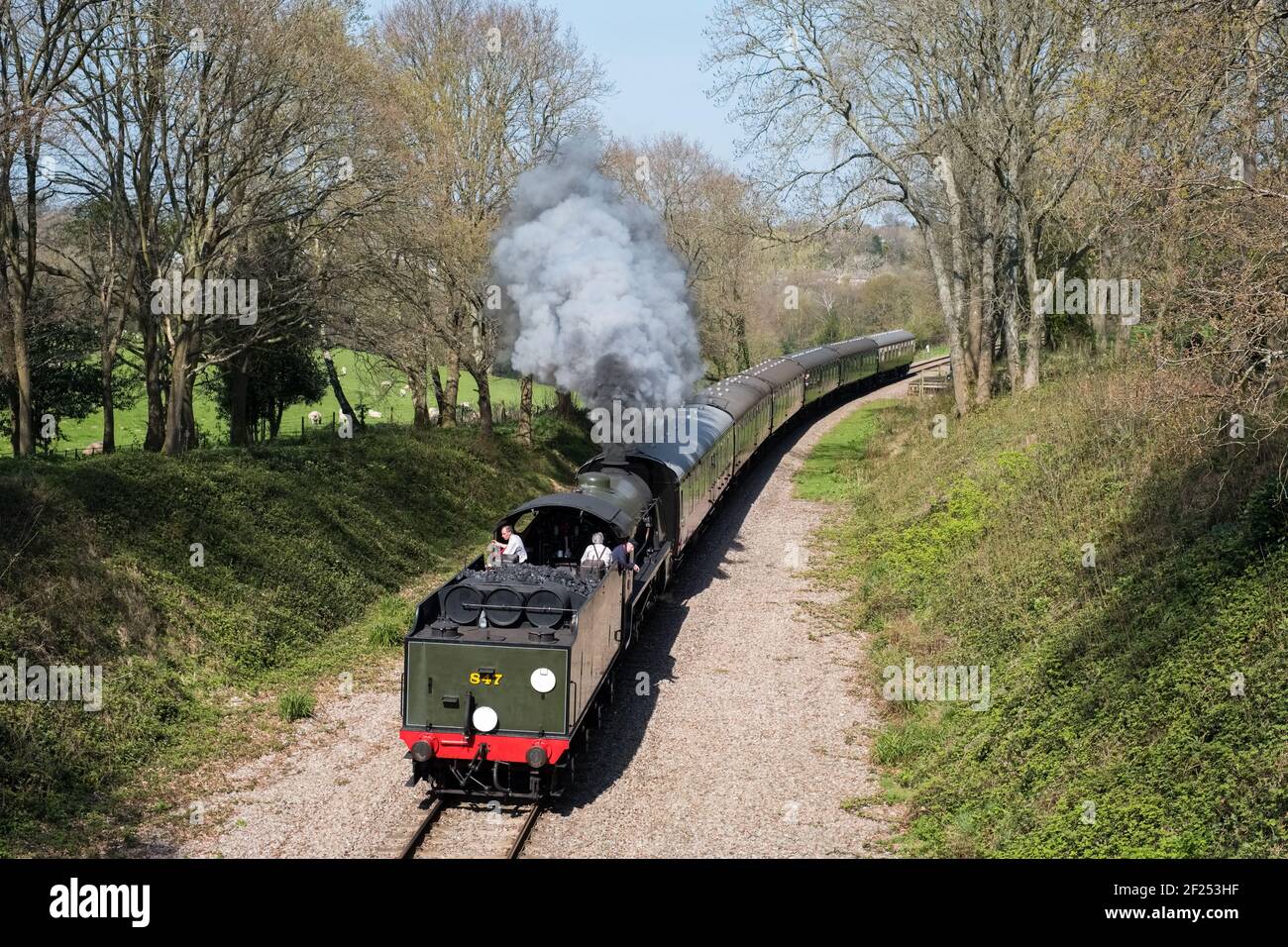 Dampfzug auf der Bluebell Railway Linie in Sussex Stockfoto