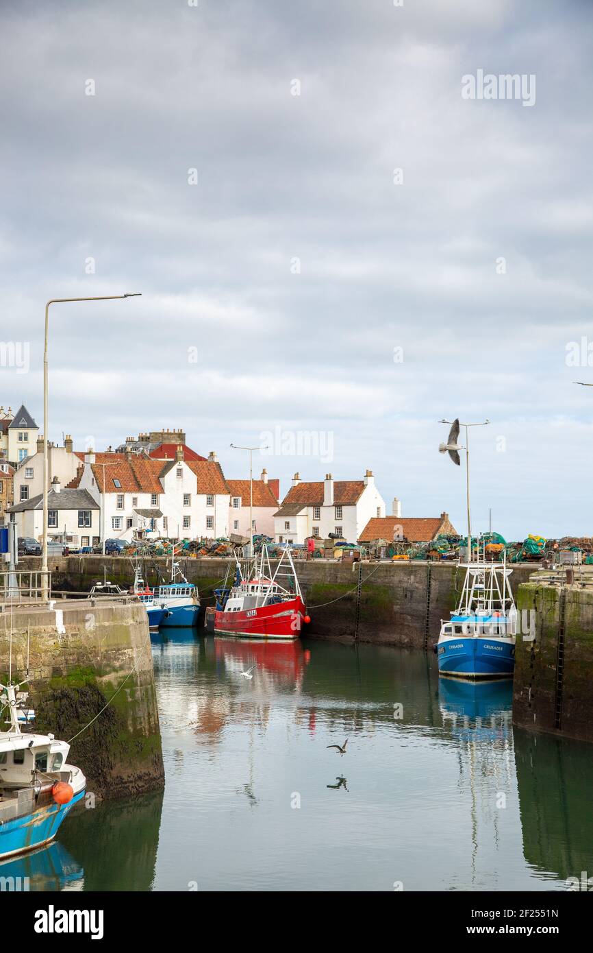 Fischerhafen Pittenweem, East Neuk of Fife, Schottland Stockfoto