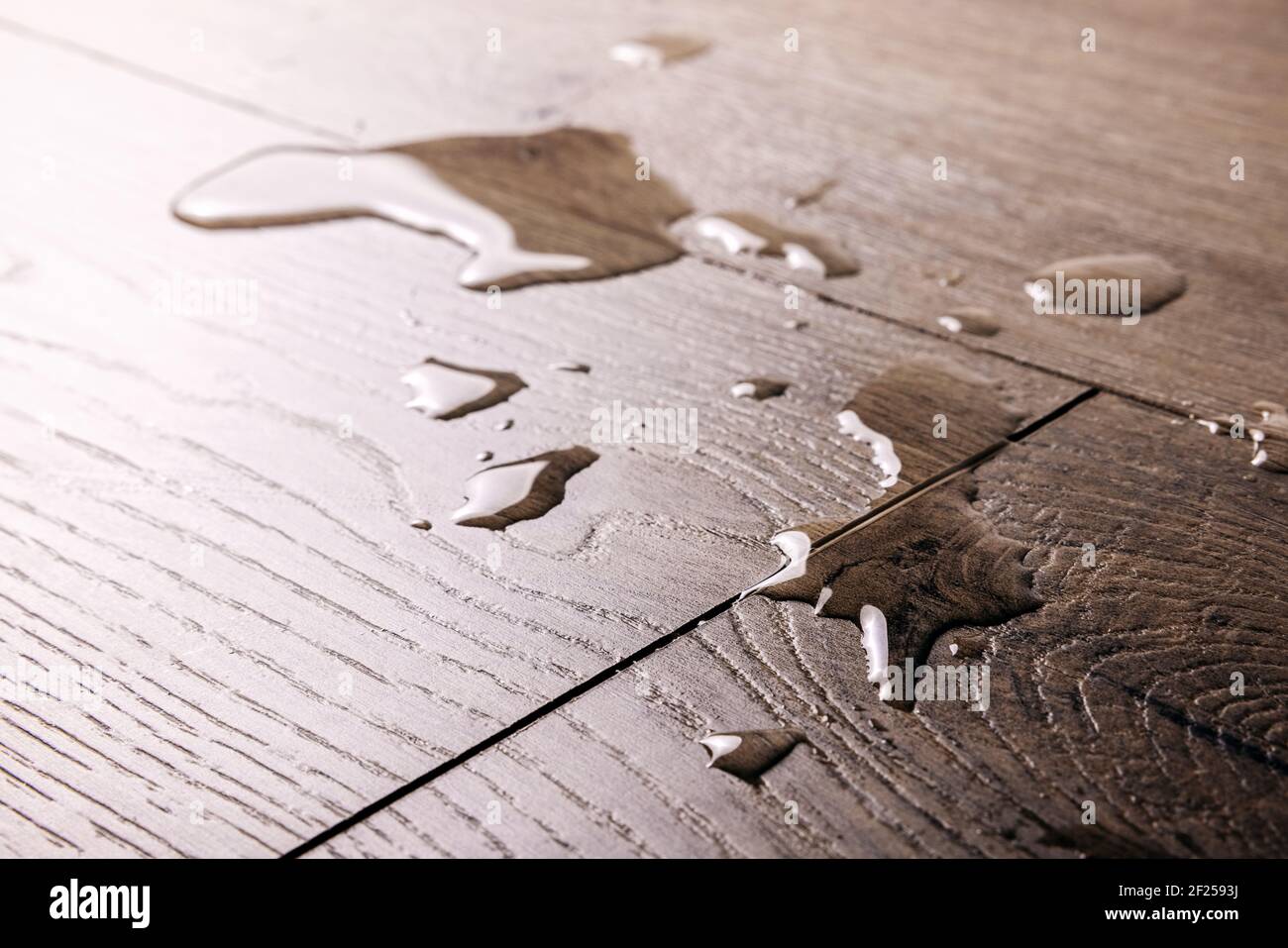 Wasserdichter Boden - verschüttetes Wasser tropft auf Holzlaminatboden Stockfoto