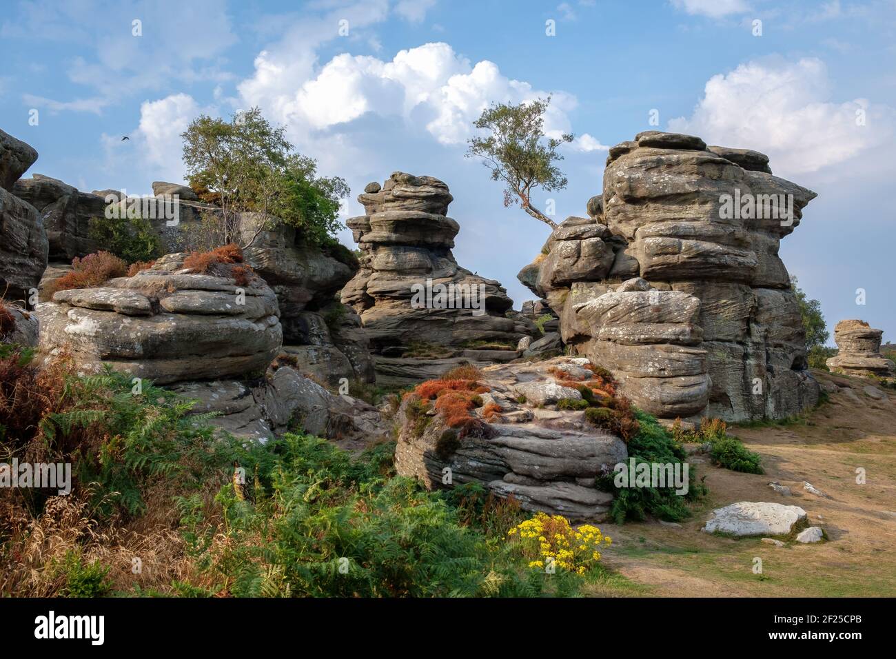 Malerischer Blick auf Brimham Rocks in Yorkshire Dales National Park Stockfoto