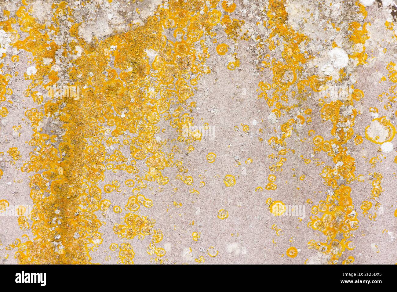 Alter flacher verwitterter Stein mit Flechten. Hintergrund Grunge Textur Overlay Stockfoto