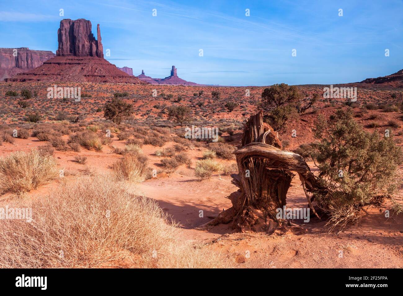 Malerische Aussicht von Monument Valley Stockfoto