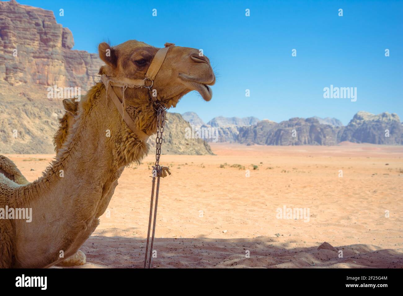 Der Wüste Wadi Rum in Jordanien Stockfoto