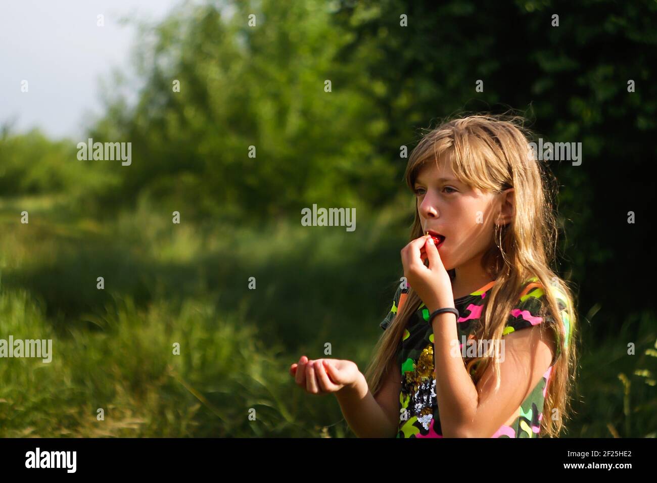 Nettes Kind Mädchen mit blonden langen Haaren isst Erdbeere. Helle Kleidung. Sie steht auf dem Gras auf einem Bauernhof in warmen Sommertag. Schönes Mädchen Stockfoto