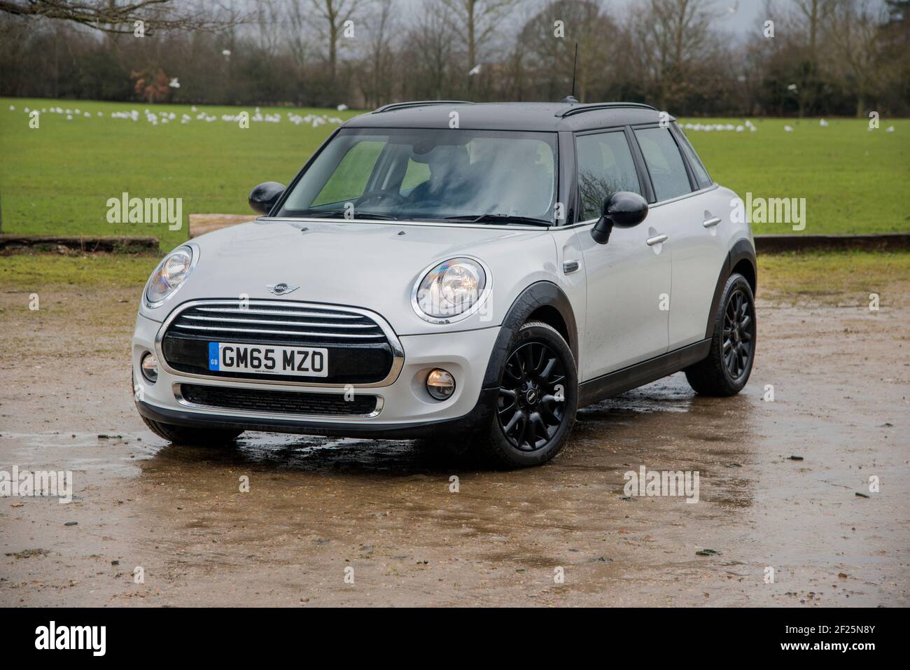 2015 Mini Cooper 5-Türluke in Form einer PMW-F55, kleines britisches Auto, gebaut in Cowley, Oxford von BMW Stockfoto