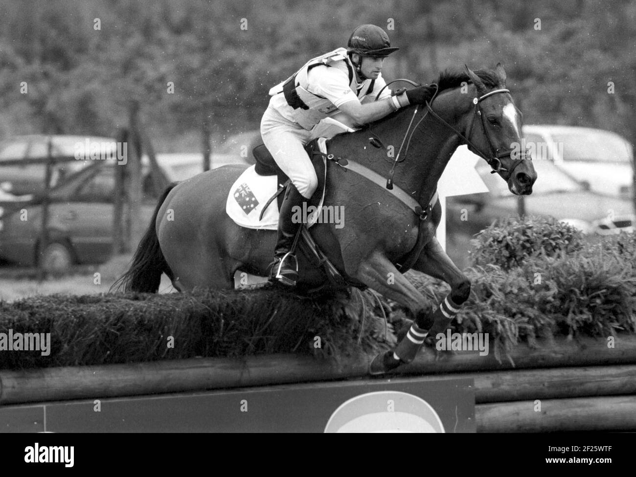World Equestrian Games, Rom Oktober 1998, Stuart Tinney (AUS) Reiten Jeepster Stockfoto