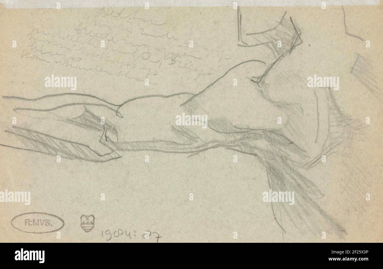 Studie der Schulter und Oberarm .. Stockfoto