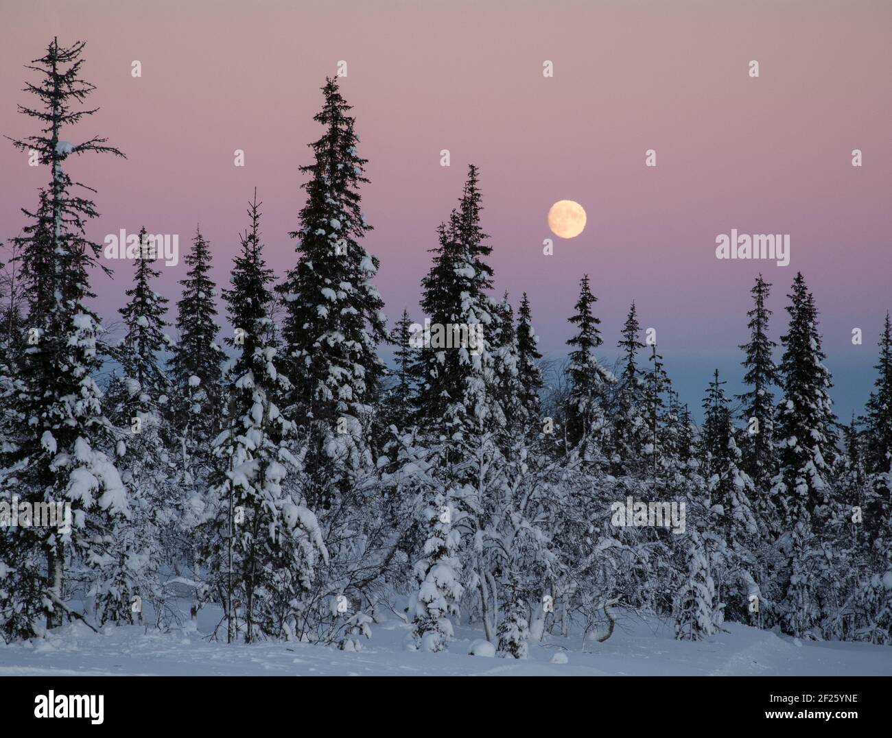 Wintermondaufgang in Nordfinnland Stockfoto