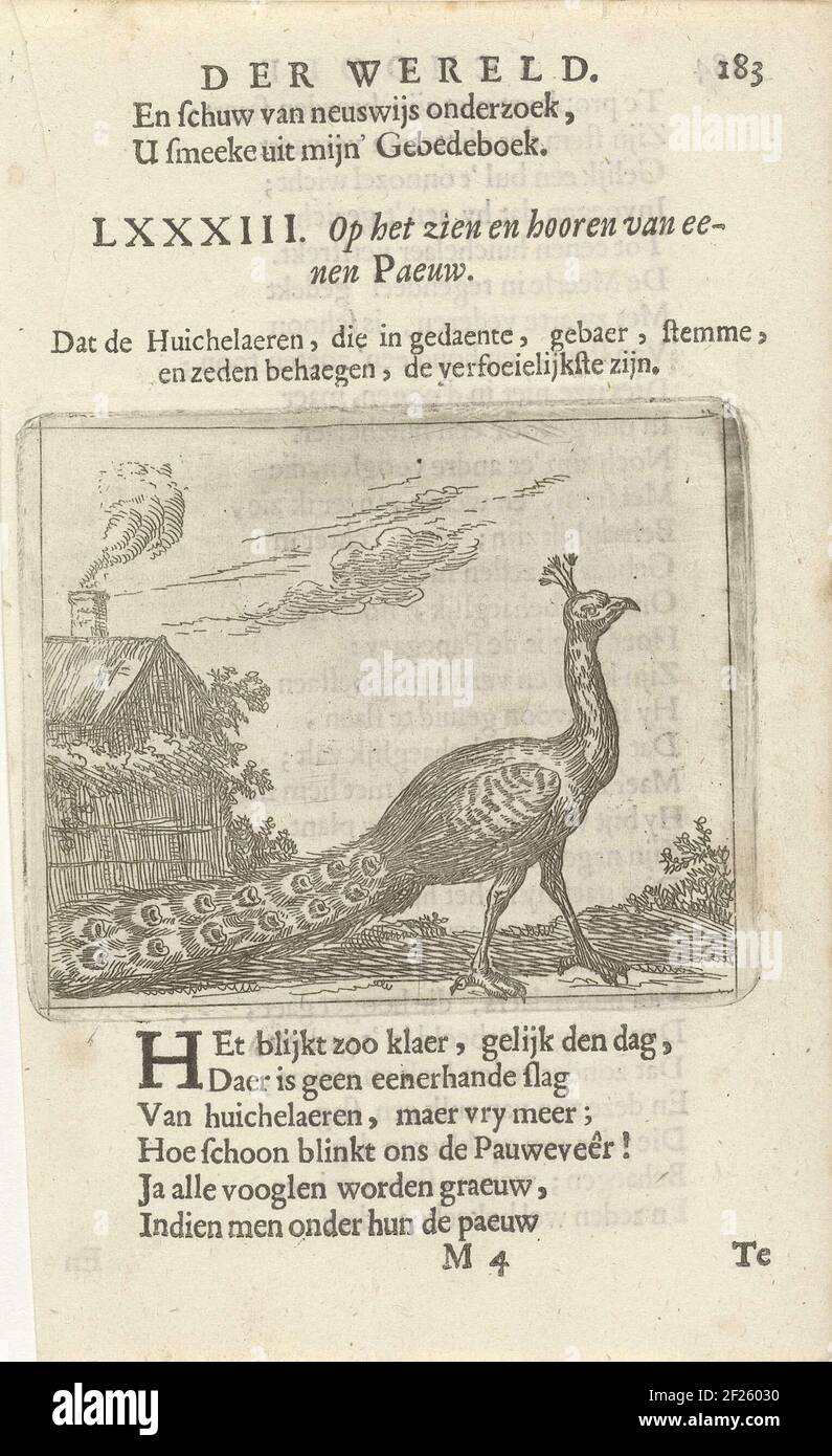 Ein Pfau in einer Landschaft. Links ein Haus mit rauchenden Kamin. Drucken aus einem Buch, in dem 36 mit Satzbildern druckt. Verwendeter Druck: F. van Hoogstraten, der schooly der Welt, 1682. Stockfoto