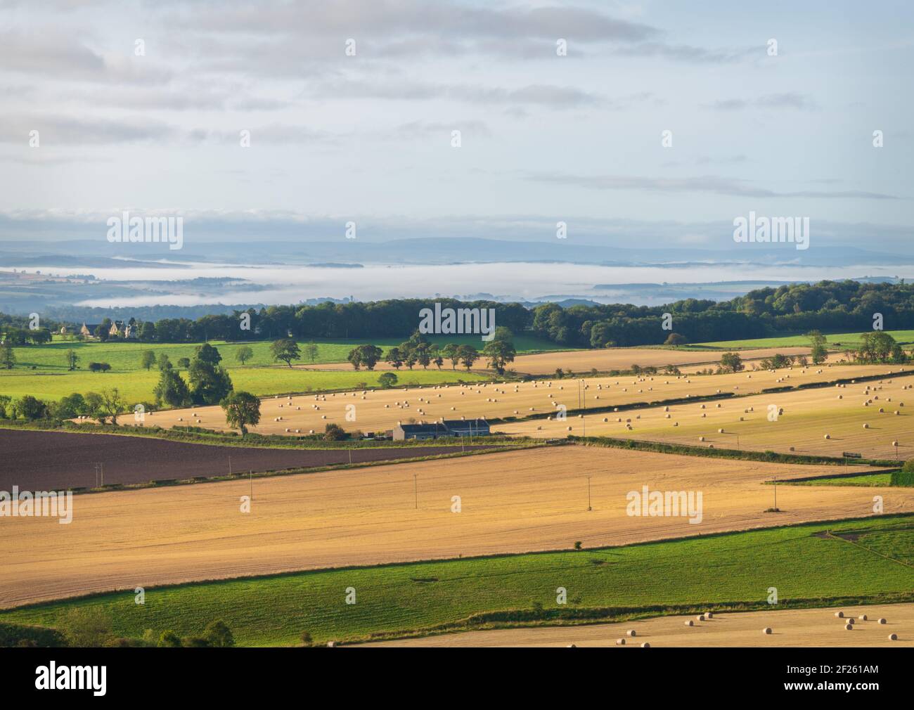 Ackerland nach der Ernte, schottische Grenze, Schottland Stockfoto