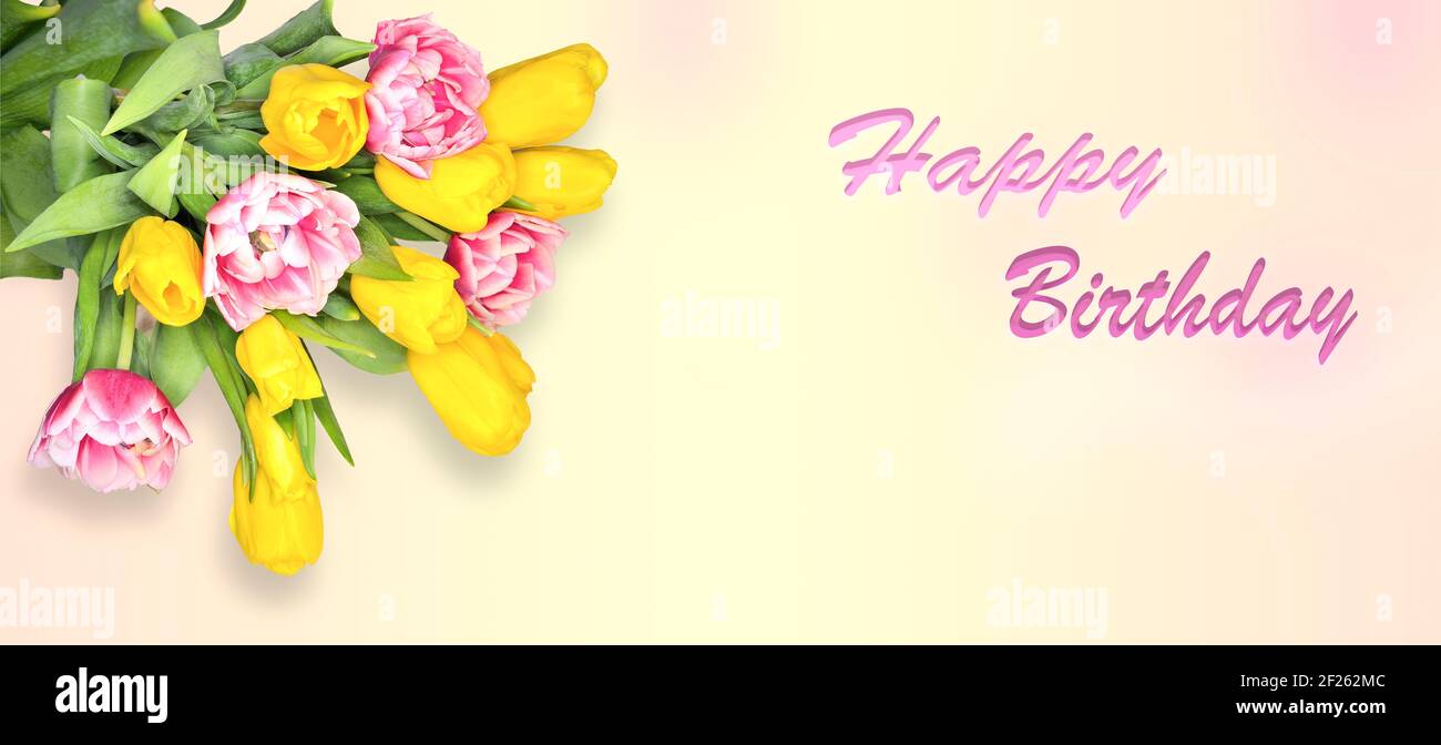 Happy Birthday Grußkarte mit gelben und rosa-weißen Tulpenblumen auf gradienten Pastellhintergrund. Elegantes Bouquet von sanften Frühlingsblumen und Text Stockfoto