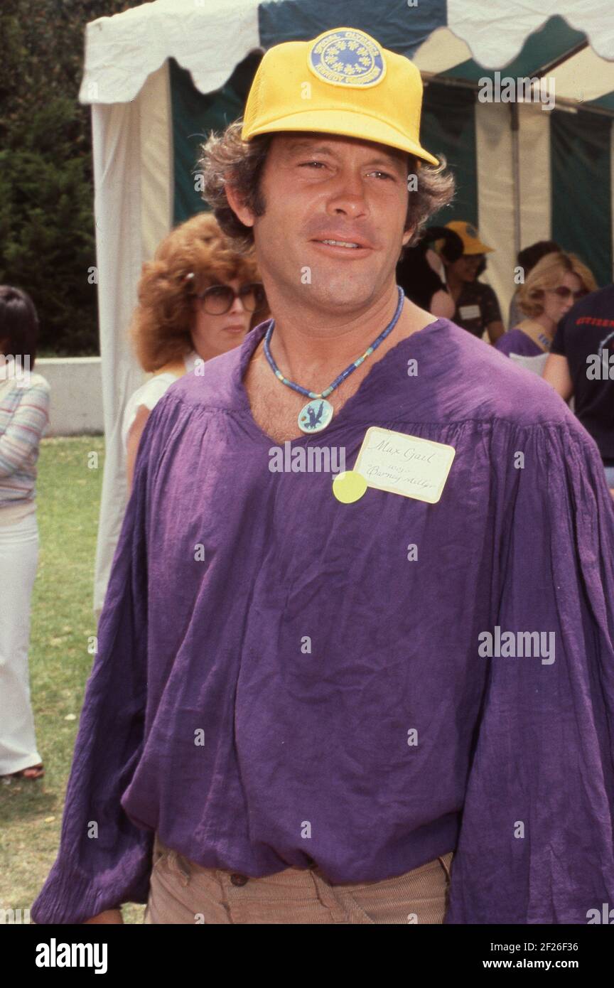 Max Gail um 1982 Credit: Ralph Dominguez/MediaPunch Stockfotografie - Alamy