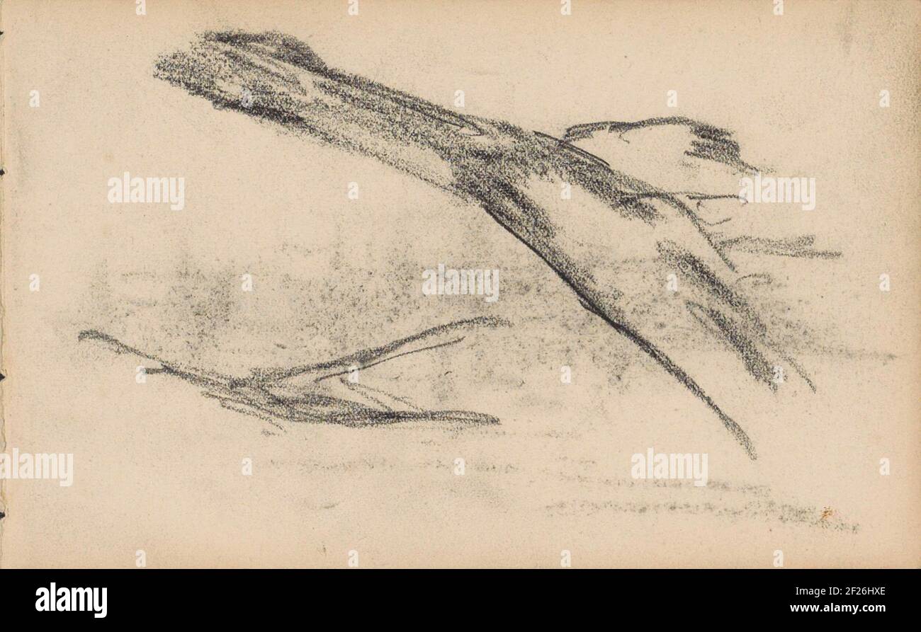 Pferdeknochen ... Stockfoto