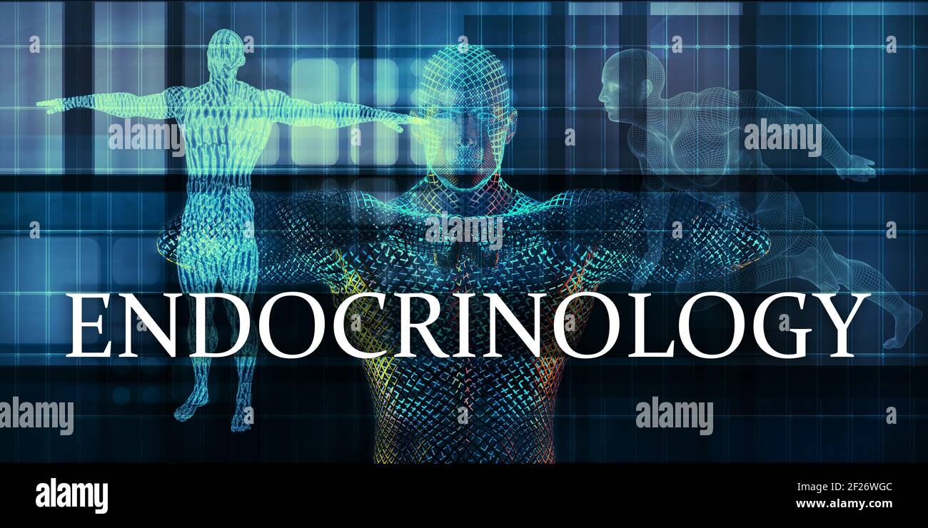 Endokrinologie Stockfoto