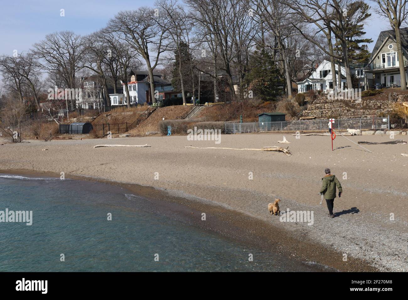 Lake Ontario Waterfront in Toronto, und Strand mit großen Bäumen und Wohnviertel im Hintergrund Stockfoto