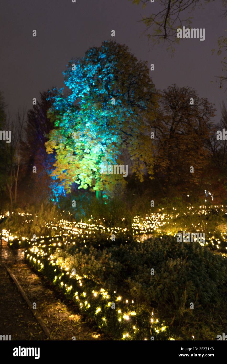 Madrid botanischer garten Fotos und Bildmaterial in hoher Auflösung
