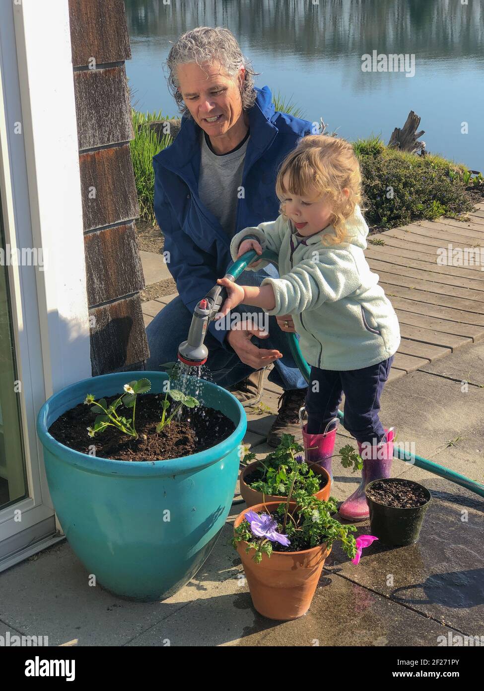 Großvater und seine kleine Enkelin bewässern neue Pflanzen im Hinterhof. Familienaktivitäten mit mehreren Generationen. Zeit mit der Familie. Echte Menschen. Stockfoto