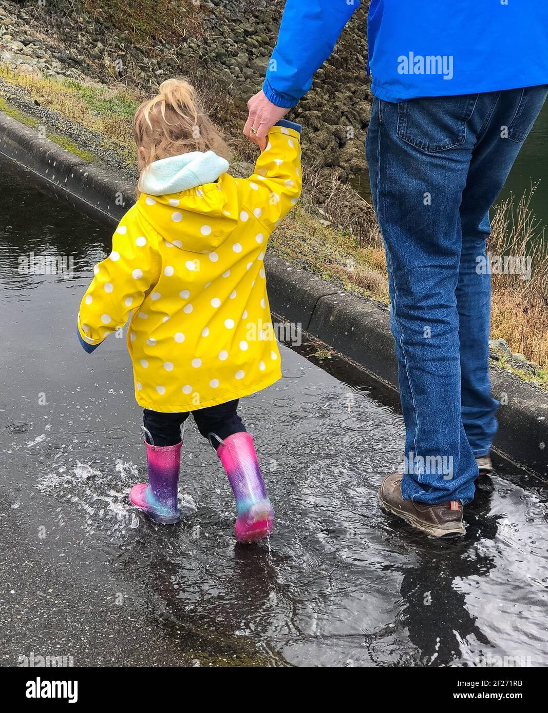 Ein Kleinkind Mädchen in einem leuchtend gelben Regenmantel gehen Hand in Hand wjtb ihr Großvater durch eine Pfütze. Aktivitäten im Freien. Echte Menschen. Stockfoto