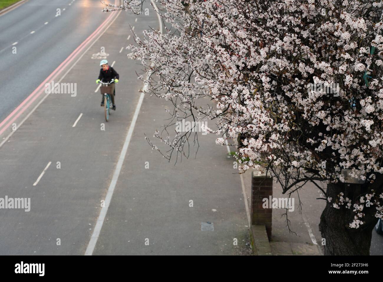 Radfahrer auf dem westway A40 Stockfoto