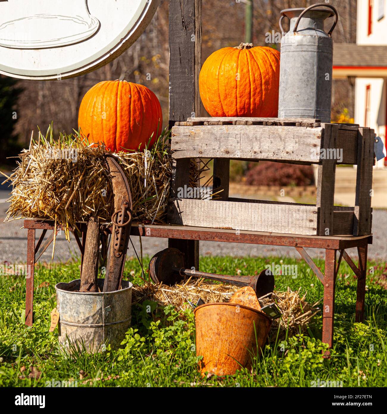 Gartendekoration mit Strohballen, Kürbissen, alten Haushaltsgegenständen (rostigen Werkzeugen, Metallkännchen und Eimern) und einem Holzkoffer. Bild für Hallowee Stockfoto