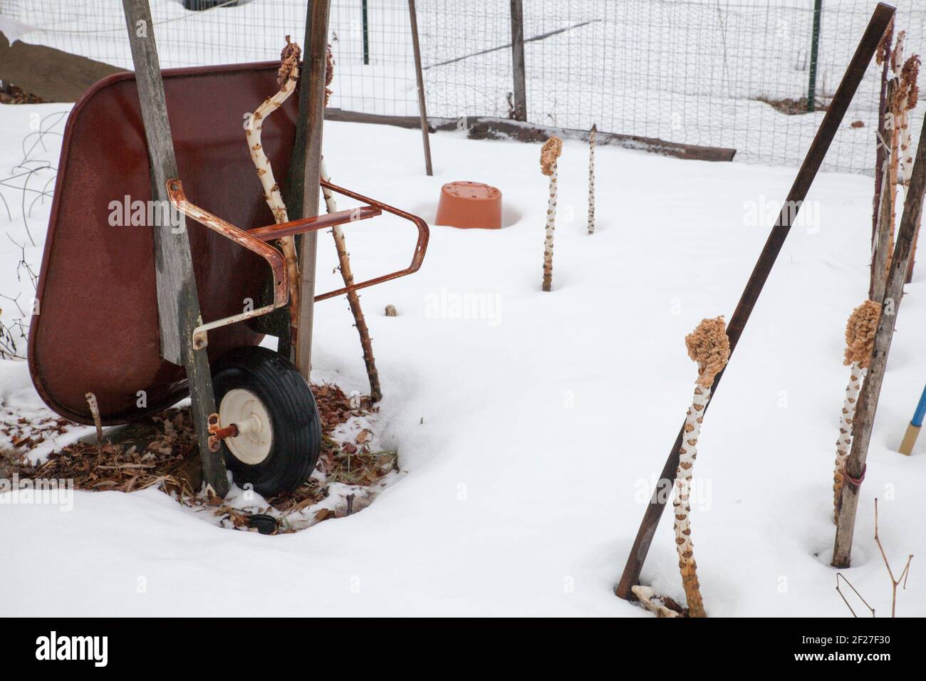 New England Gemeinschaftsgarten im Winter. Stockfoto