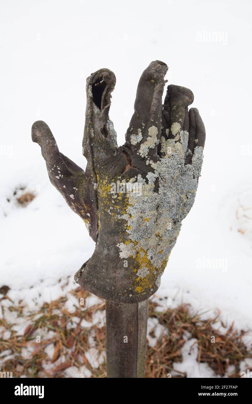 New England Gemeinschaftsgarten im Winter. Stockfoto