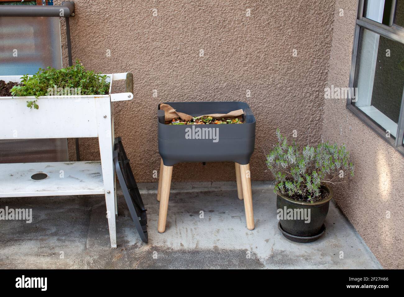 Frische Lebensmittel und Bettwäsche Material wird auf einem Outdoor-Vermicomposter neben einem Blumentopf hinzugefügt. Wurm Komposter sind eine perfekte Lösung in einer Wohnung, auf a b Stockfoto